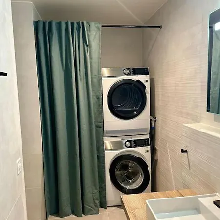 Loft Industriel En Duplex - The Urban Garage Apartment Lausanne