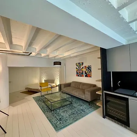 Apartament Loft Industriel En Duplex - The Urban Garage *